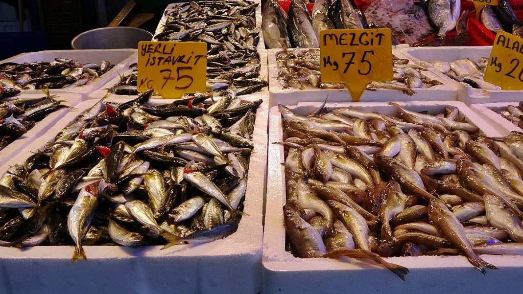 O kentte hamsinin kilosu 50 TL'ye kadar düştü! Fiyatı gören kasa kasa alıyor 17